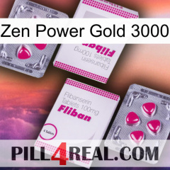 Zen Power Gold 3000 33